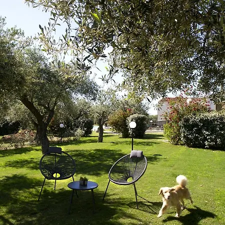 Rosso Di Sera Alghero