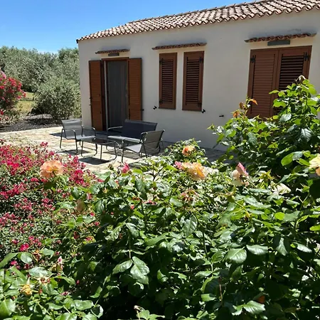 Rosso Di Sera 4* アルゲーロ