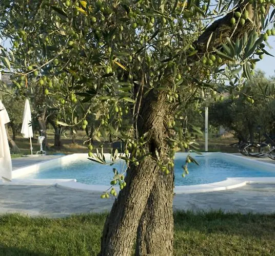 Rosso Di Sera ゲストハウス